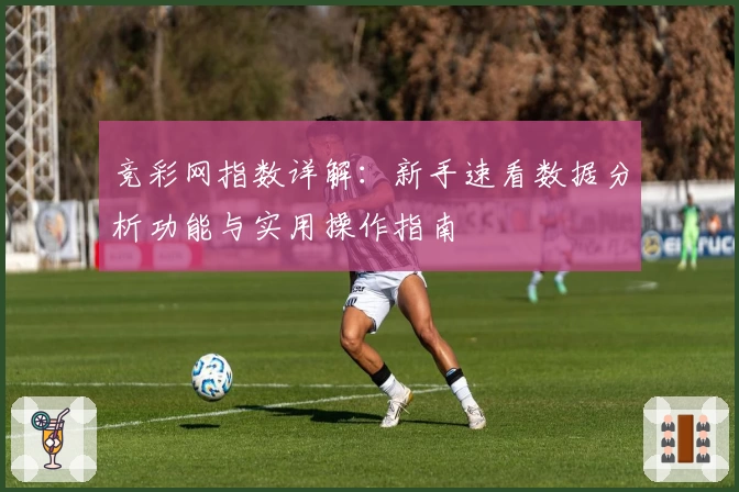 竞彩网指数详解：新手速看数据分析功能与实用操作指南