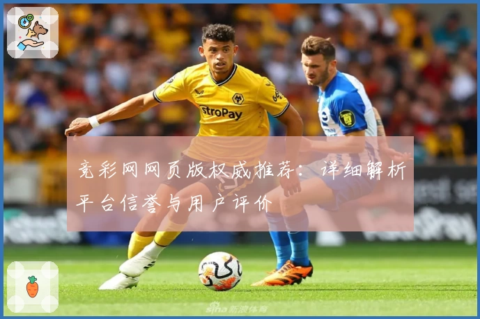 竞彩网网页版权威推荐：详细解析平台信誉与用户评价